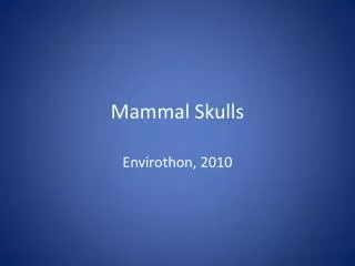 Mammal Skulls