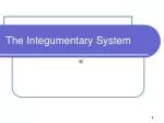 The Integumentary System - slide 1