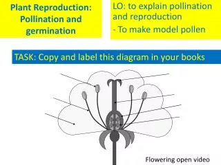 Plant Reproduction: Pollination and germination