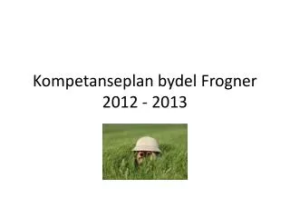 Kompetanseplan bydel Frogner 2012 - 2013