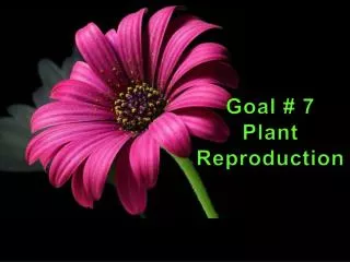 Goal # 7 Plant Reproduction