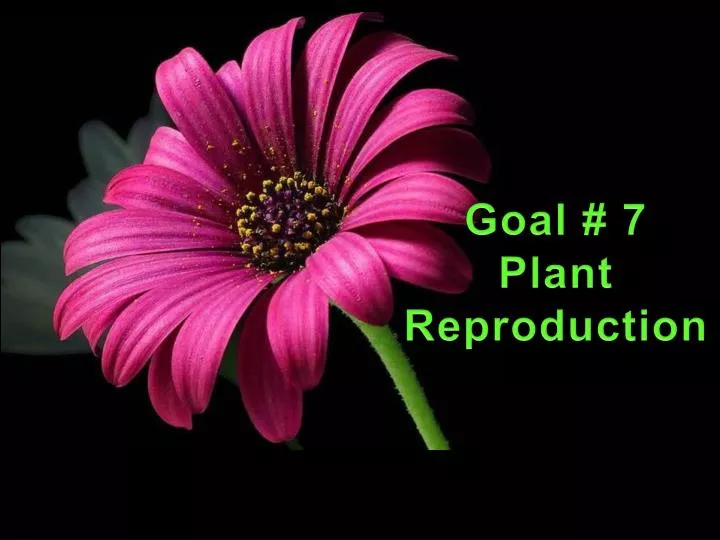 goal 7 plant reproduction