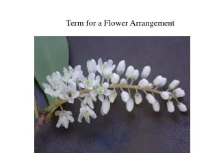 Term for a Flower Arrangement