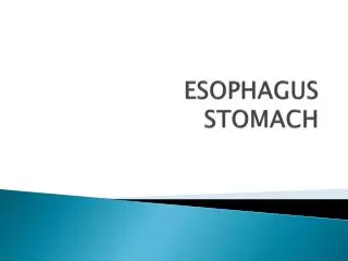 ESOPHAGUS STOMACH
