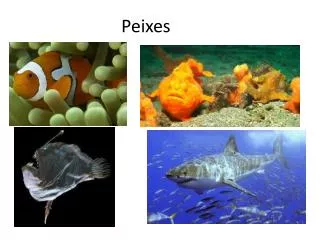 peixes