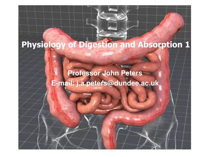 physiology of digestion and absorption 1