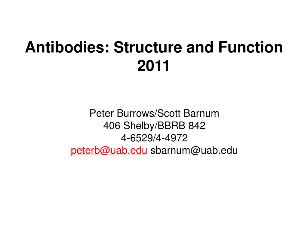 PPT - Antibodies: Structure and Function 2011 PowerPoint Presentation ...