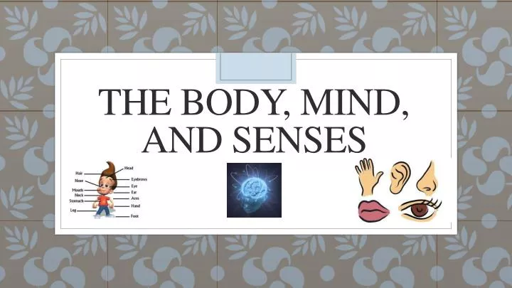 the body mind and senses
