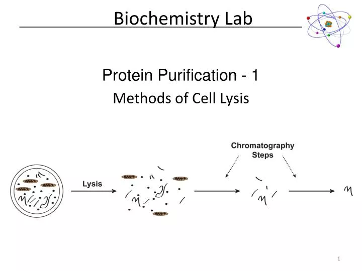 biochemistry lab