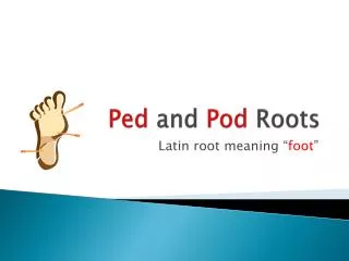 Ped and Pod Roots