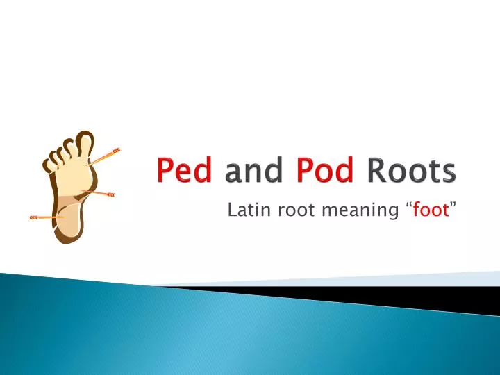 ped and pod roots