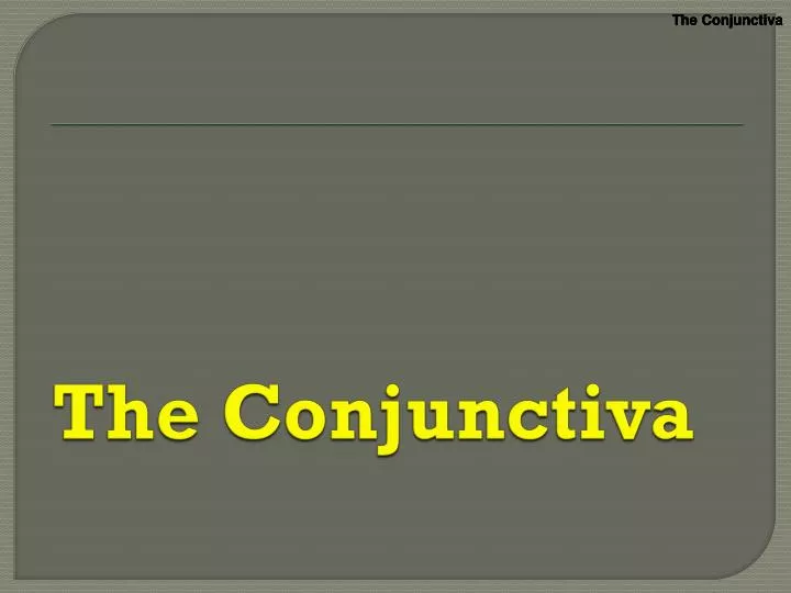 the conjunctiva