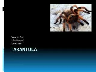 Tarantula