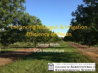 Enhancing Nitrogen &amp; Irrigation Efficiency of Pecan