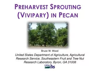 Preharvest Sprouting (Vivipary) in Pecan