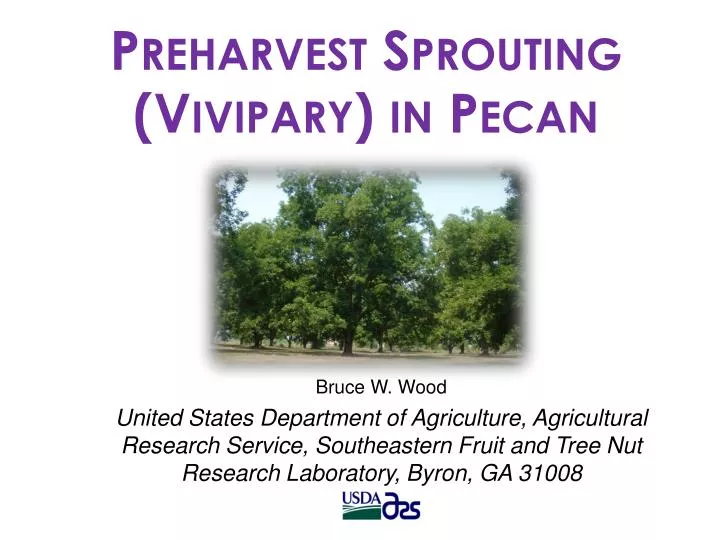 preharvest sprouting vivipary in pecan