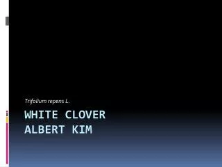 White Clover Albert Kim