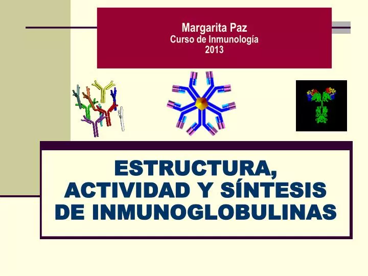 estructura actividad y s ntesis de inmunoglobulinas