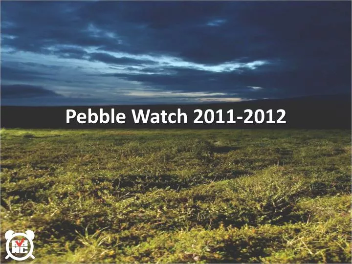 pebble watch 2011 2012