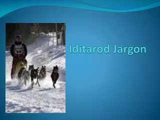Iditarod Jargon