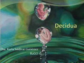 decidua