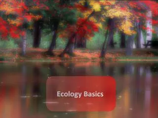 Ecology Basics