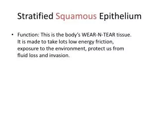 Stratified Squamous Epithelium