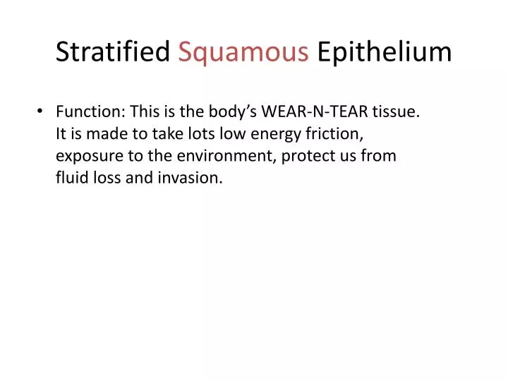 stratified squamous epithelium