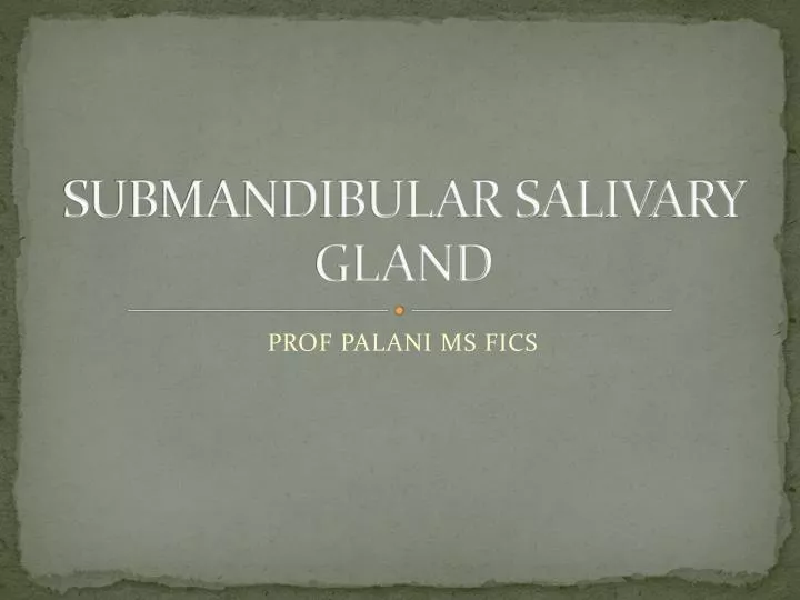 submandibular salivary gland