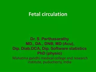 Fetal circulatio n