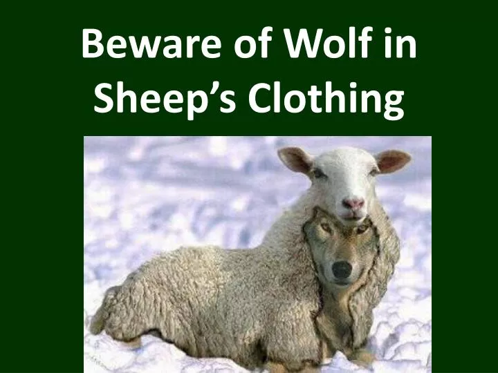 beware of wolf in sheep s clothing