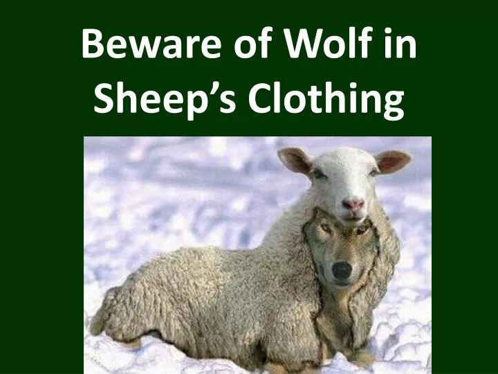 PPT - Beware Of Wolf In Sheep'S Clothing PowerPoint Presentation.