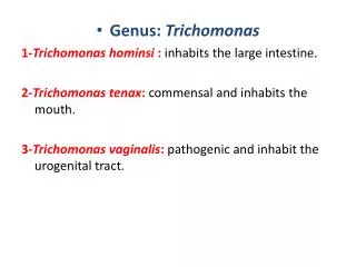 Genus: Trichomonas 1- Trichomonas hominsi : inhabits the large intestine .
