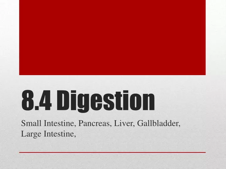 8 4 digestion