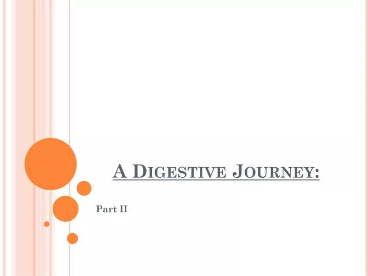 a digestive journey