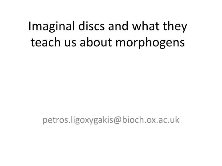 imaginal discs and what they teach us about morphogens