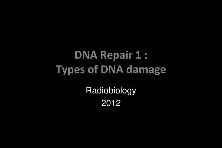 dna repair 1 types of dna damage