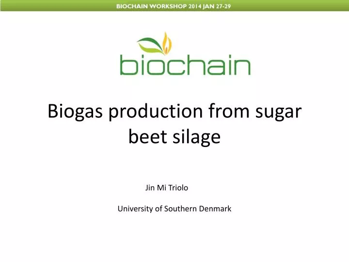 biogas production from sugar beet silage