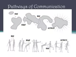 Pathways of Communication