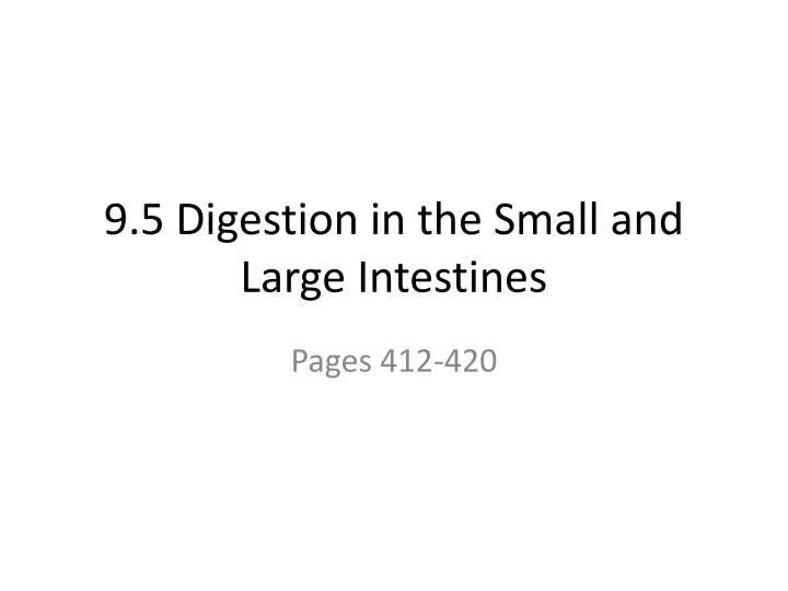 9 5 digestion in the small and large intestines