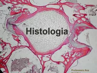 histologia