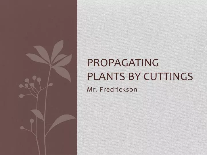 propagating plants by cuttings