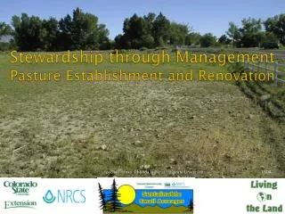 Stewardship through Management Pasture Establishment and Renovation