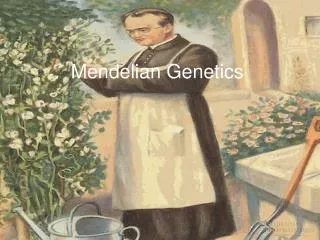 Mendelian Genetics