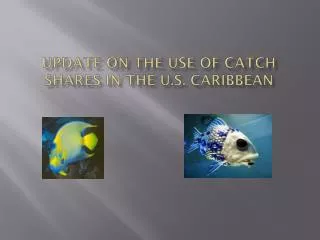 Update on the Use of Catch Shares in the U.S. Caribbean