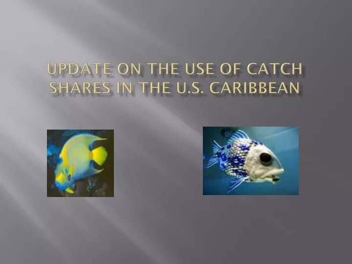 update on the use of catch shares in the u s caribbean