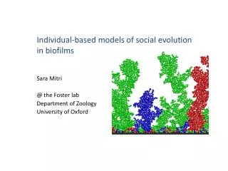Individual-based models of social evolution in biofilms
