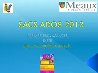 sacs ados 2013