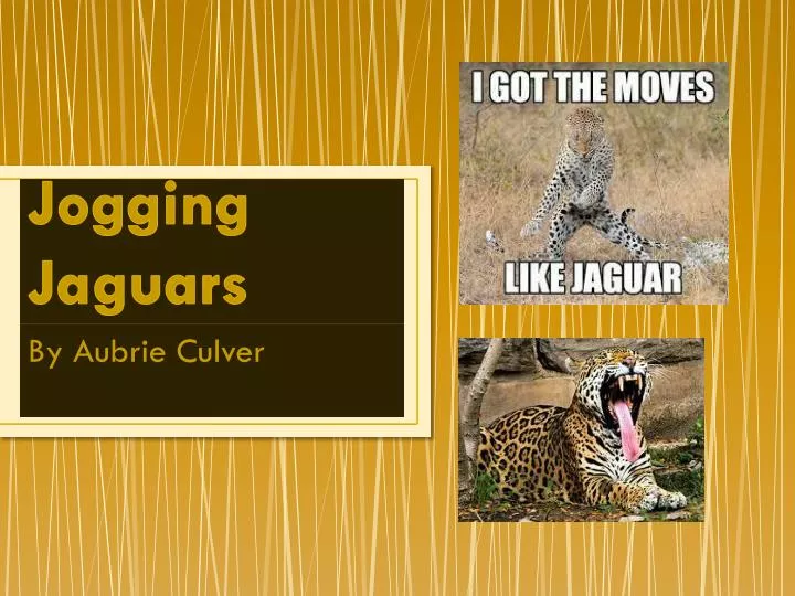 jogging jaguars