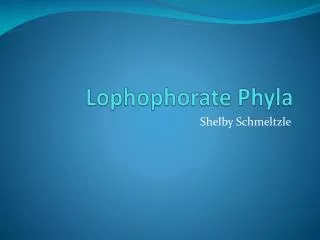 Lophophorate Phyla